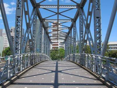 Bridge steel structure